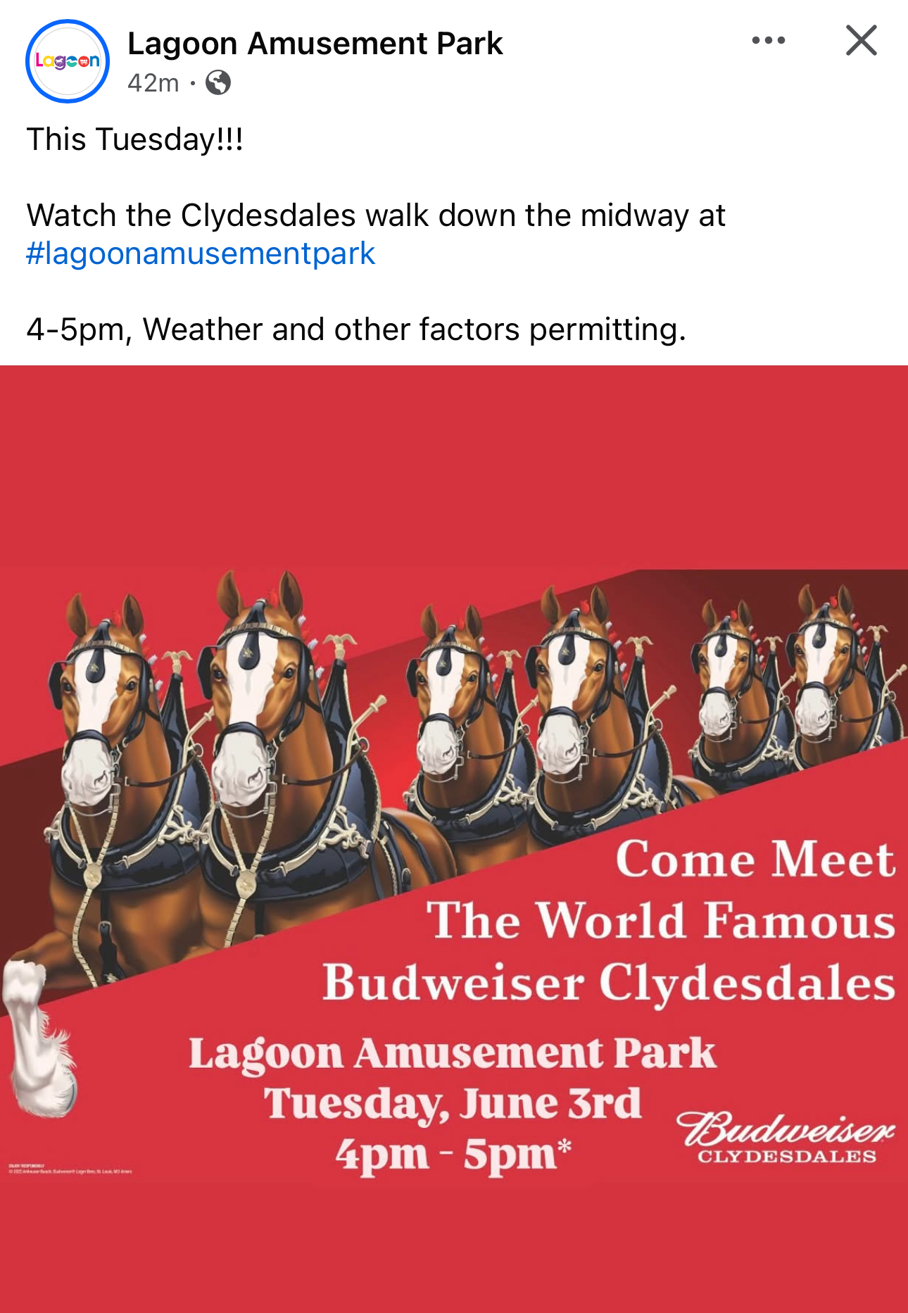 Post from Lagoon’s Facebook account announcing the Budweiser Clydesdales will walk down the midway on June 3rd from 4pm to 5pm